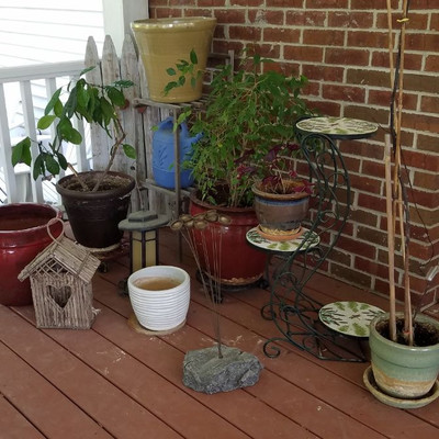 Gardening Pots +