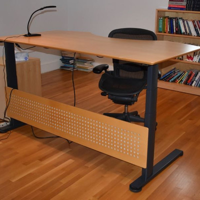 Linak motorized adjustable sit-to-stand desk