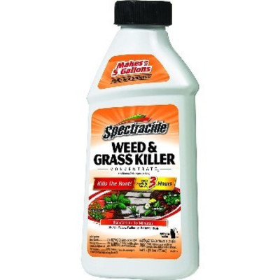 (6 COUNT) 16 OZ Spectracide Weed and Grass Killer ...