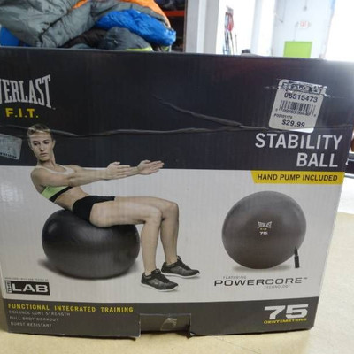 Everlast 75cm stability ball.