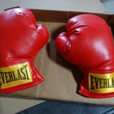 #Everlast boxing gloves.