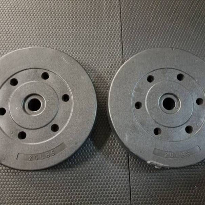 Set of 20 LBS Weights