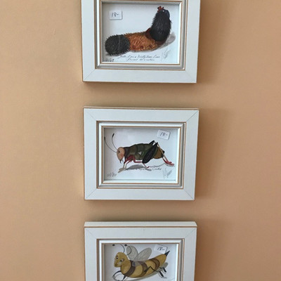 Nature art $18 each