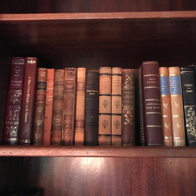 Leather bound books $10 each