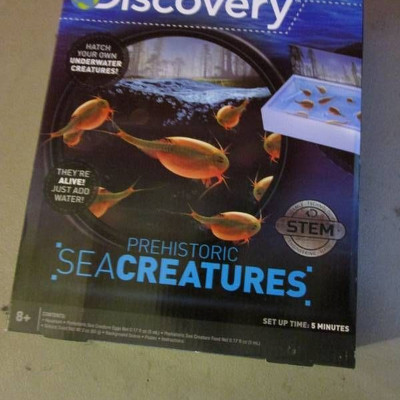 Discovery Sea Creatures Kit