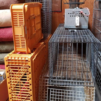 477:  	
Misc. Traps and Dog Cages
Misc. Traps and Dog Cages