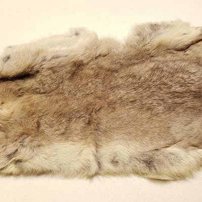 896: 	
Rabbit Skin
Rabbit Skin