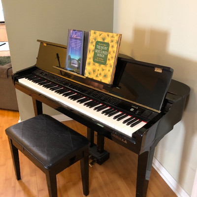 Samick 4.6' High Gloss Ebony Baby Grand Digital Piano (SGP151P) - $950 (55W 40D 33H)
