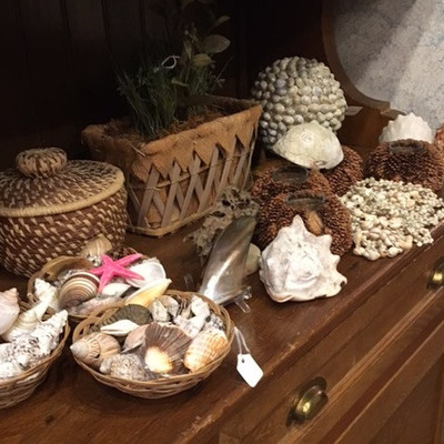 CH194: Sea Shells and Baskets……. Local Pickup https://www.ebay.com/itm/113804092748