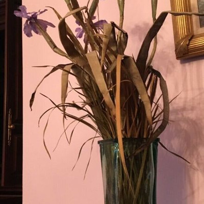 CH197: Iris Flower Arrangements Artificial... Local Pickup https://www.ebay.com/itm/123821407822