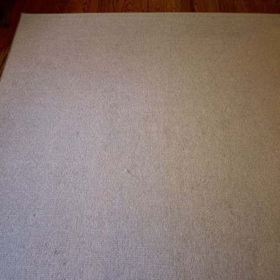 Rug measures approx. 12' X 16'
