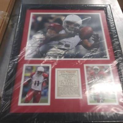 Larry Fitzgerald 16x20 Picture