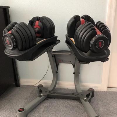 Bowflex Weight System