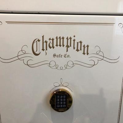 Champion Safe Company Gun Safe (Triumph Series) - $1500
	(31W  25D 60H)
