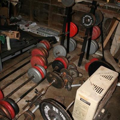 GYM Lifting Weights 