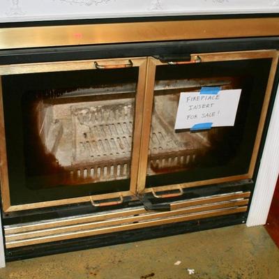 Brass & Glass Door Fire Place Insert  