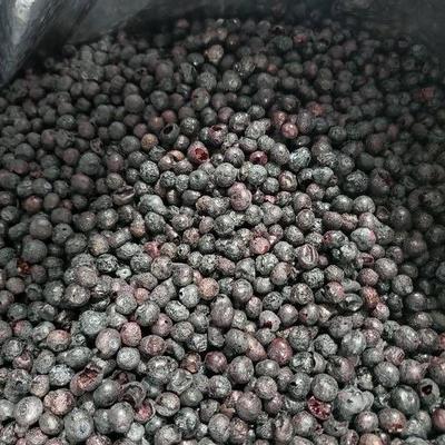 (37) boxes blueberries - 370 lbs