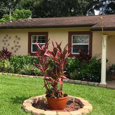 Large Outdoor Planter