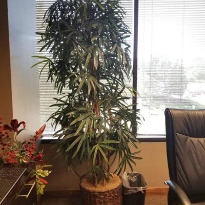 Large Fake Plant and Small Trash Can