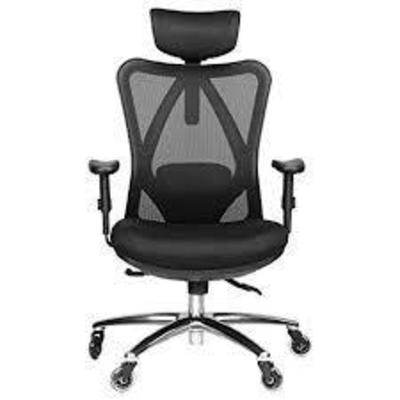 Duramont Ergonomic Adjustable Office Chair with Lu ...