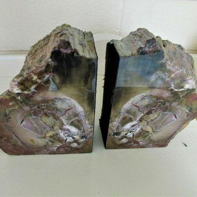 Gorgeous petrified wood bookends