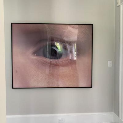 Tony Tasset, Eyeball, Award Winning Chicago Artist
