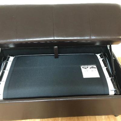 Twin pullout bed in storage ottoman
