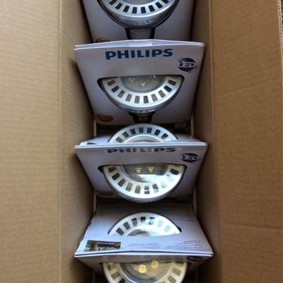 KHH311 Philips LED Flood Lights