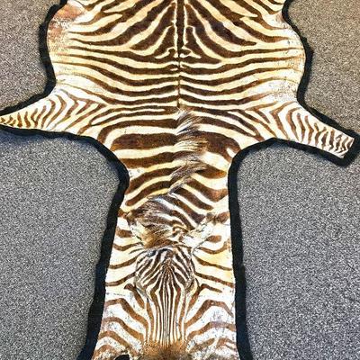 Authentic Zebra rug. Approx 9 feet. Estate sale price: $750