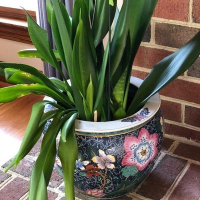 Cache pot w/plant
Price: $35