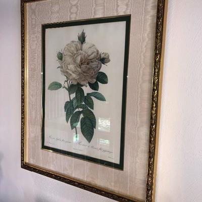 Gold Framed print â€œRosier de Provins a fleur gigantesqueâ€ Giant Rose
Price: $20

