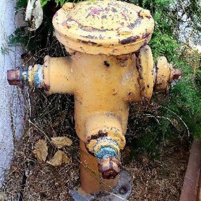 Vintage fire hydrant