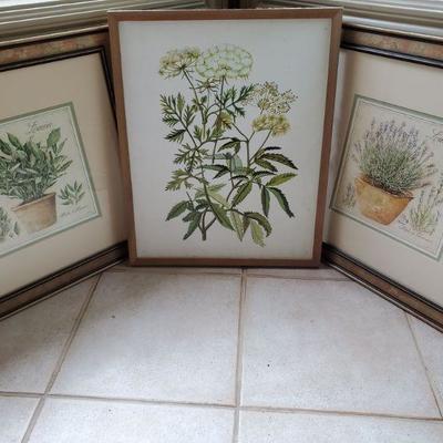Botanical Prints 3