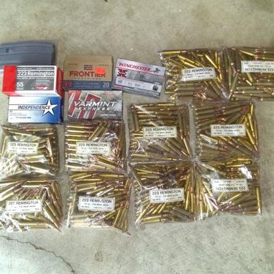 Over 1000 rounds of 223