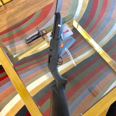 760 Pumpmaster Air Rifle