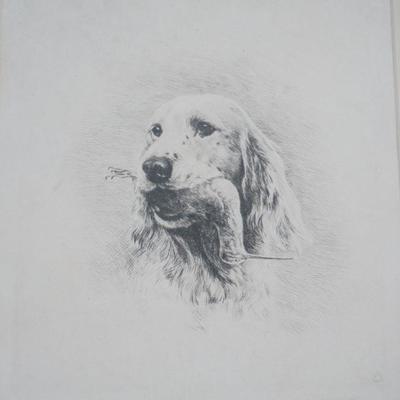 MARGUERITE KIRMSE ETCHING ENGLISH SETTER