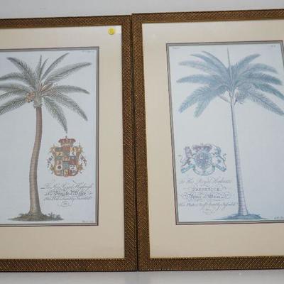Pair of G.D. Ehret. delin & Sculp Botanical Plate Lithographs. Both Palm Trees, professionally framed and matted in gilt frames. 