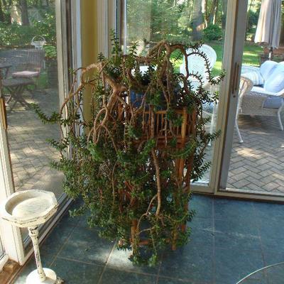 Mature Jade plant in pot and also included bamboo plant stand 