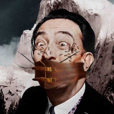 Original New Photographic Portrait of Salvador Dali (Vol.5) Entitled ANTS  