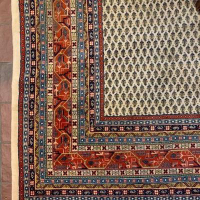 Hand Knotted Area Rug 
