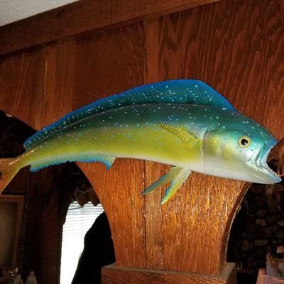 Taxidermy