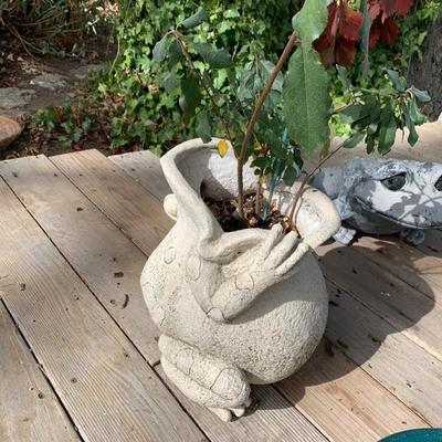 Cement frog planter