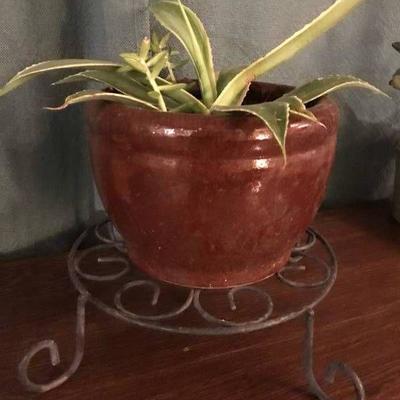 Potted succulents with metal plant stand
