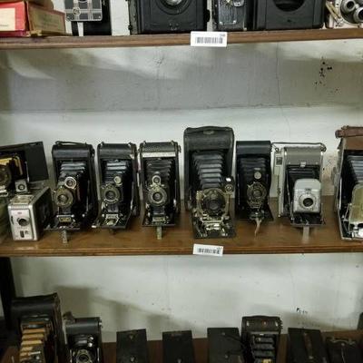 3rd shelf from top-8 lg folding bellows cameras- K ...