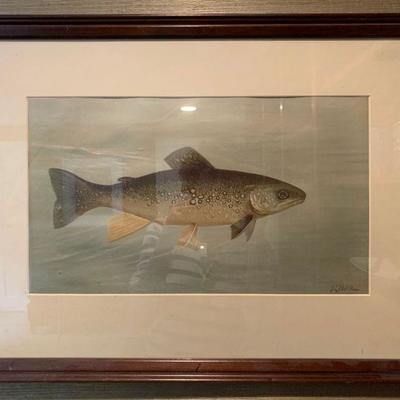 Fish Print by J.L. Petrie 