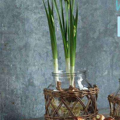 Glass and wicker vases and canisters