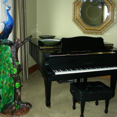 Yamaha C5 Grand Piano 6'7 & Life Size Bronze Peacock Bronze Sculpture