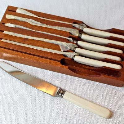 knife set - Sheffield, England - with "French Ivory" handles