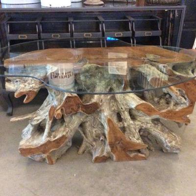 Teak Root table with glass top