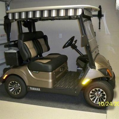 2017 Yamaha Gas 2 seat Golf Cart with 164.3 hours of use.